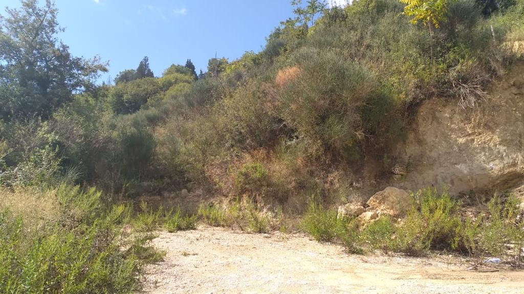 Ulcinj, Montenegro 85360, ,Land,For Sale,1094