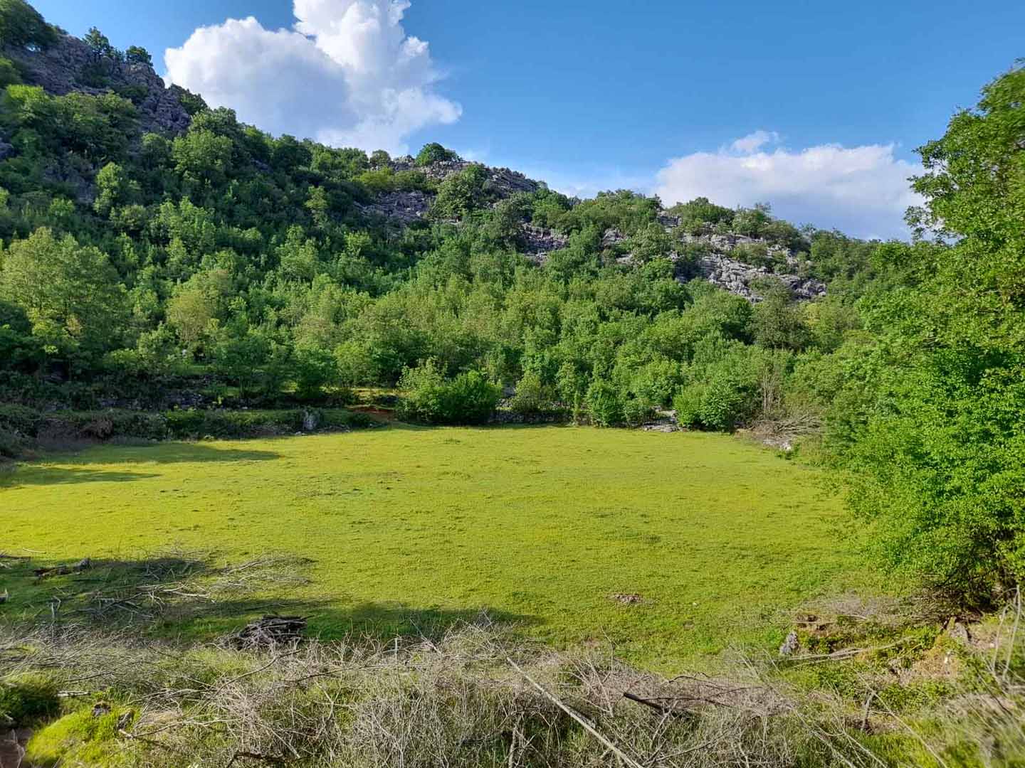 Cetinje, Montenegro 81250, ,Land,For Sale,1110