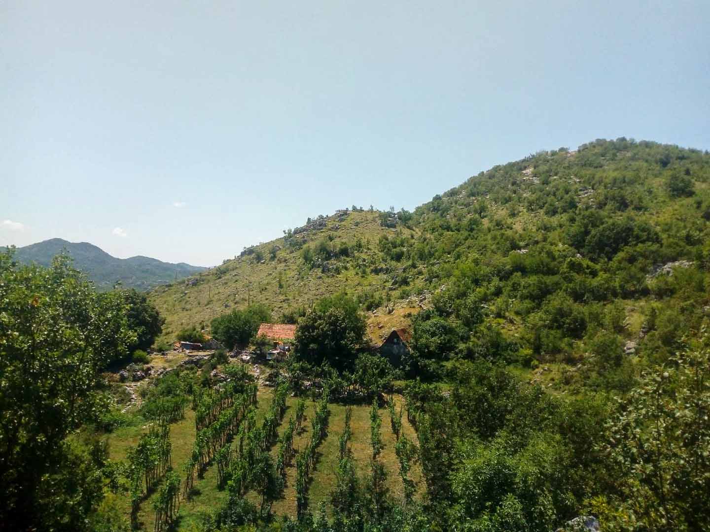 Cetinje, Montenegro 81250, ,Land,For Sale,1110