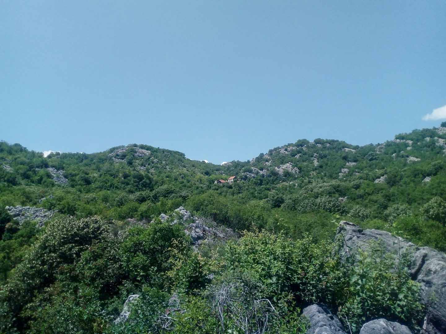 Cetinje, Montenegro 81250, ,Land,For Sale,1110