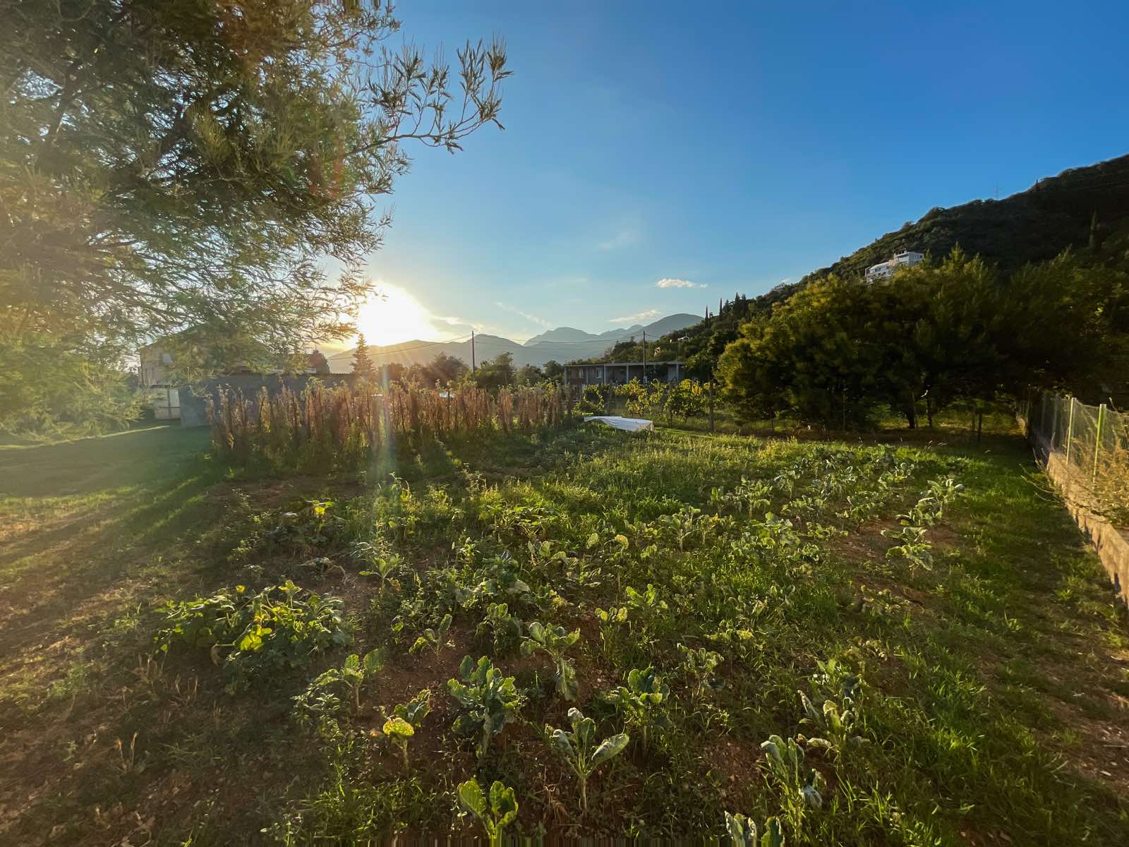 Tivat, Montenegro 85320, ,Land,For Sale,1073